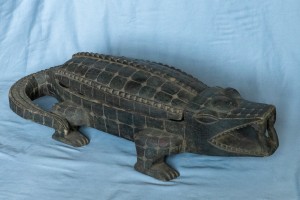 6Crocodile